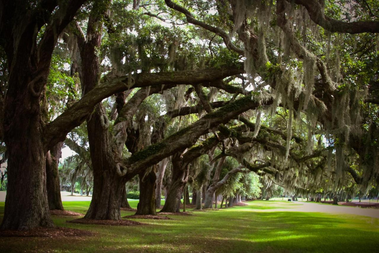 400 Ocean Suites By Lighthouse Vacations St. Simons Island Eksteriør bilde